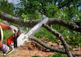 Best Lot and Land Clearing  in Mission Nyon, CA