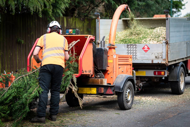 Lawn Grading and Leveling