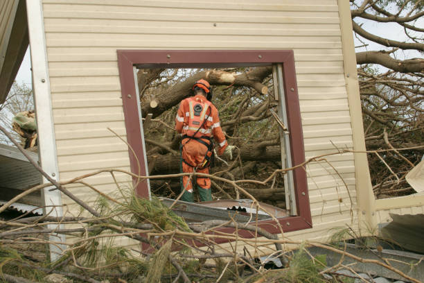 Best Tree Trimming and Pruning  in Mission Nyon, CA